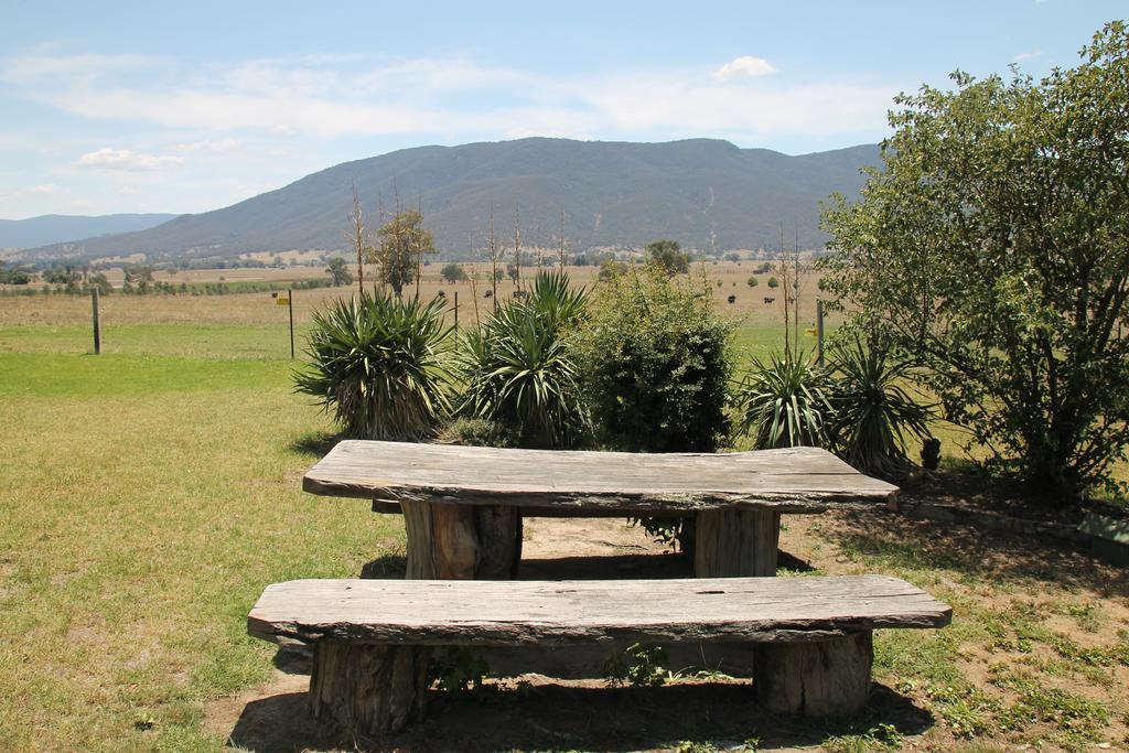 Mountain View Motel Corryong Esterno foto