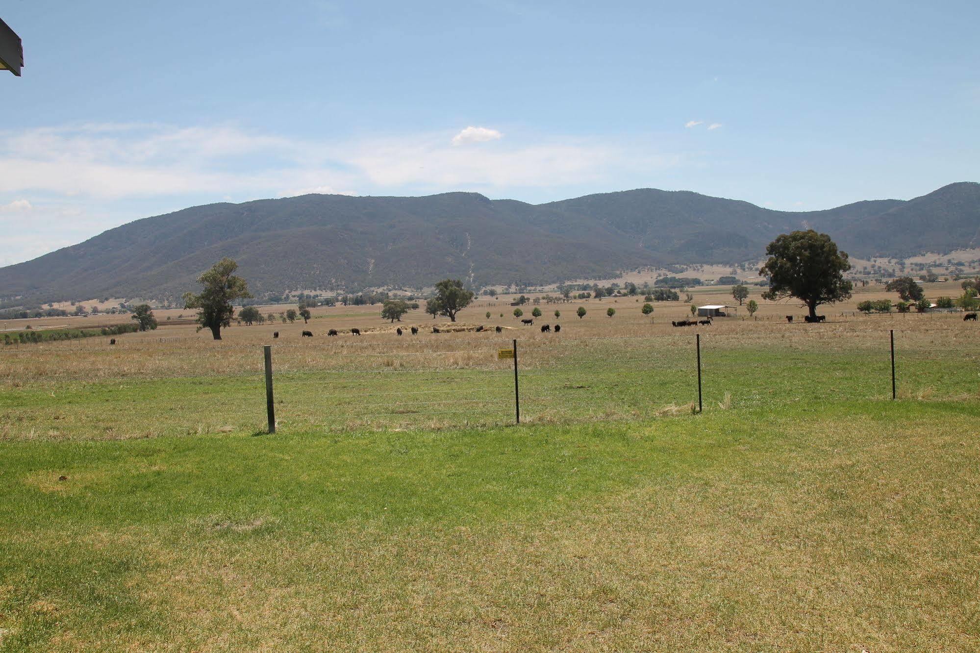 Mountain View Motel Corryong Esterno foto